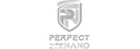 perfect nano logo